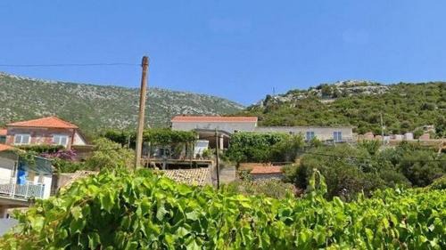 Apartments with WiFi Postup, Peljesac - 23780 in Orebić