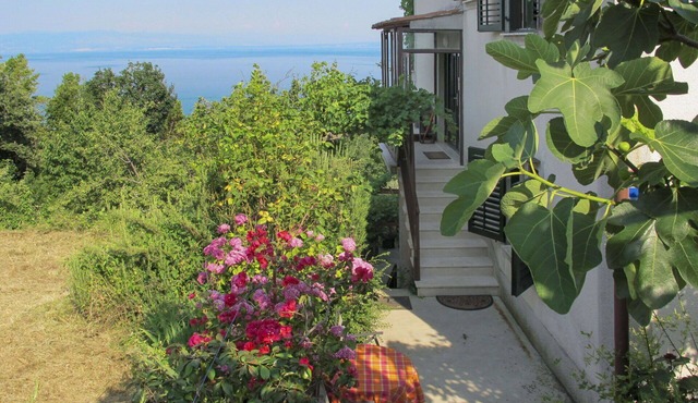 Beautiful apartment for 4 people with A/C, WIFI, TV and terrace in Rijeka