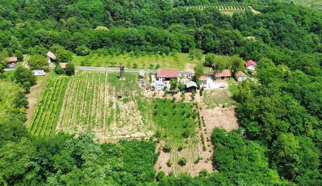 Beautiful home in Ludbreg with sauna in Ludbreg