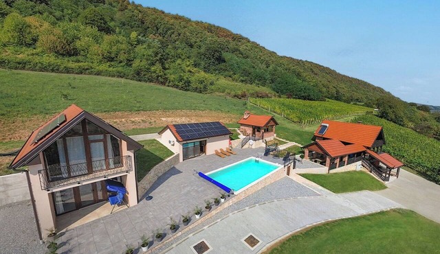 Beautiful private villa for 12 people with WIFI, hot tub, A/C, private pool, TV and terrace in Križevci