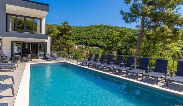 Beautiful private villa with hot tub, private pool, A/C, WIFI, TV, terrace and pets allowed in Rijeka
