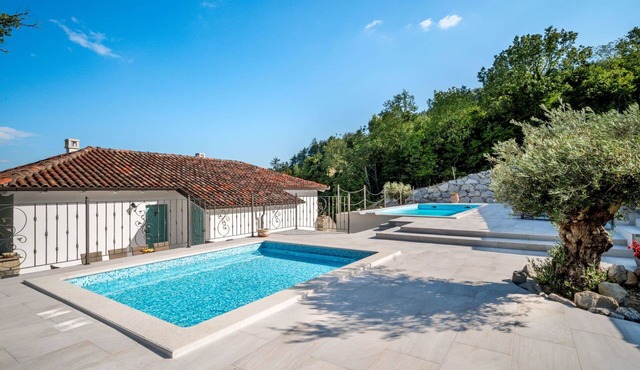 Beautiful villa for 6 guests with A/C, private pool, WIFI, TV and terrace in Buzet