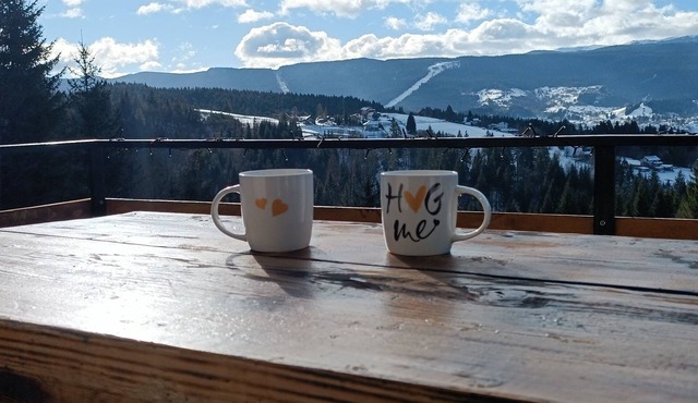 Beautifull house with an amazing view on mountain Jahorina, 15min from Sarajevo in Pale