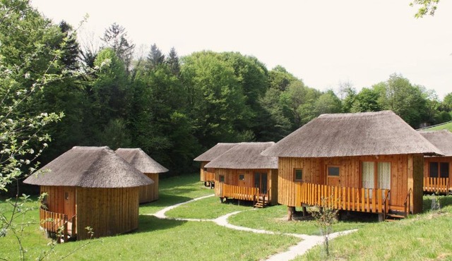 Bionic healing village