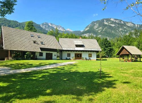 Bohinj Star Apartments - Ivanka
