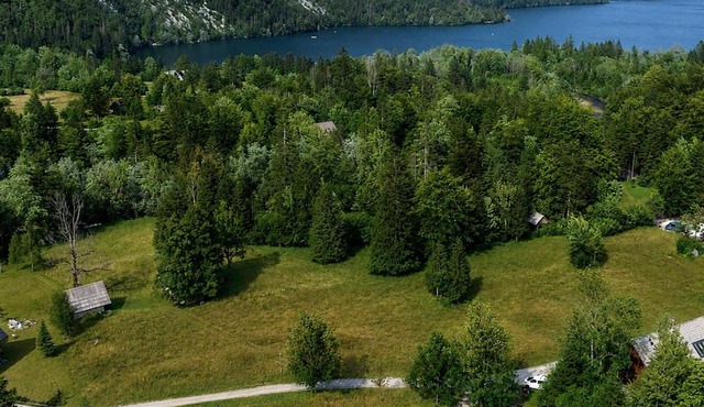 Bohinj Star Apartments