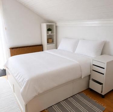 Brin apartment in Hrastnik