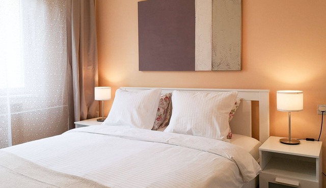 Central 2-Bedroom Apartment + Free Private Parking in Novi Sad