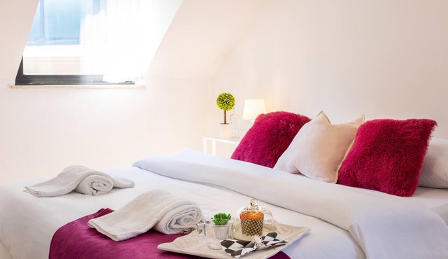 Cozy and Bright Duplex near City Center