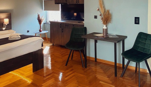 Deluxe studio apartment in Beograd