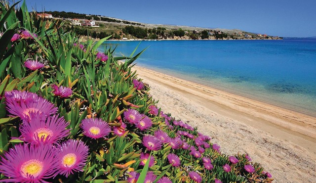 Do you fancy a relaxing vacation in Croatia with a fantastic view of the sea. in Zubovici