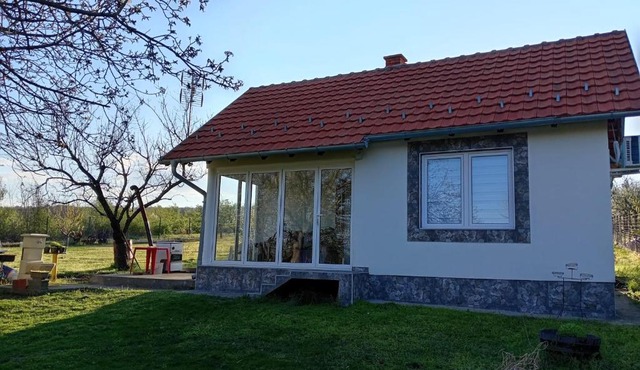 dr Genius Cottage in Negotin
