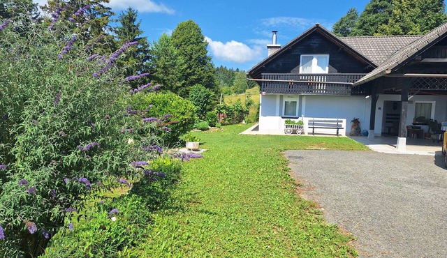 Exclusive Countryside House near Ljubljana – for Families & Groups, 3BR, 2BA