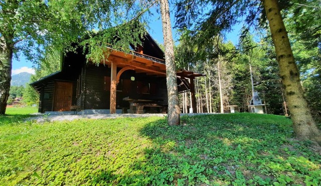 Forrest House in Golnik
