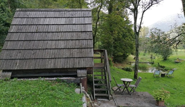 Glamping Zlata ribica