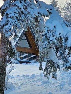Gorska bajka - Borovica, planinska kuća za odmor i wellness