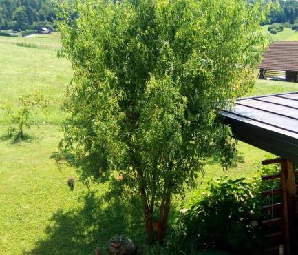 Gostišče Lunca in Grosuplje