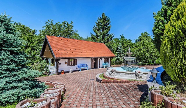 Grandpa's House With Pool, Gornja Stubica, Croatia
