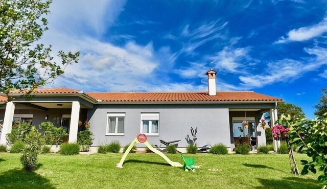 Ground Floor Apartments With Spacious Backyard / Lovely apartment with backyard and table tennis in Pula