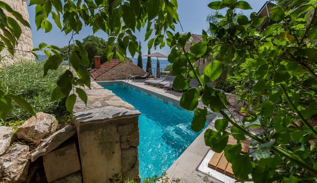 Guest House 'Villa Jasmin - Pet Friendly' with Shared Terrace, Shared Garden and Wi-Fi in Borak