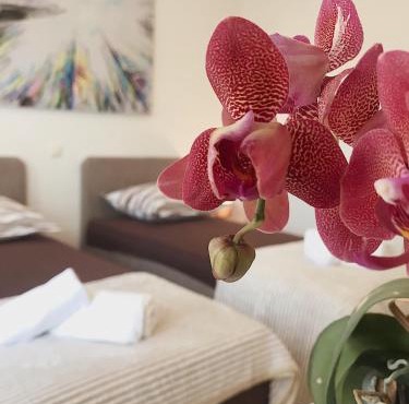Guesthouse Villa Cvita & Slavko in Trogir