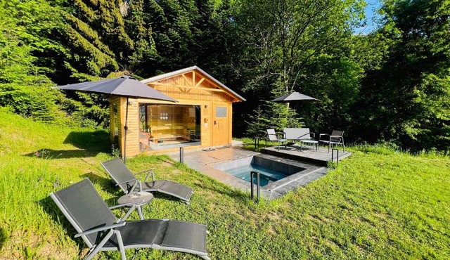 Hiša Podlog - Cosy getaway in raw nature with optional private spa in Šentjur