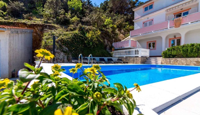 Holiday apartment with Pool and Internet in Kampor