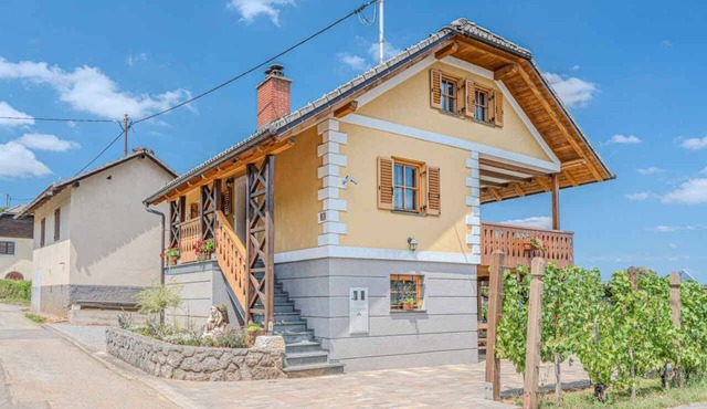 Holiday home An old vineyard cottage that has been completely renovated, is surrounded by vineyards and offers a magnificent view in Črnomelj