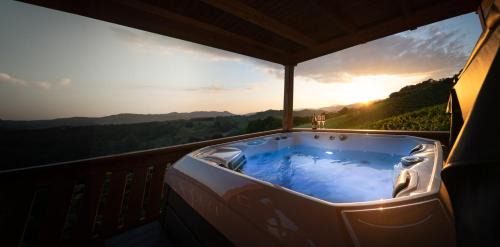 Holiday Home Mirt with HotTub & Sauna in Bostanj