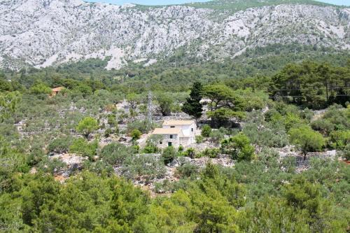 Holiday home with hot tub Zivogosce - Mala Duba, Makarska - 19811 in Igrane