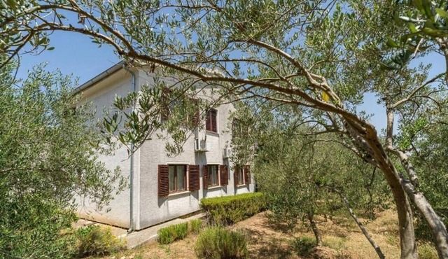 Holiday house with a parking space Preko, Ugljan (K-20969)