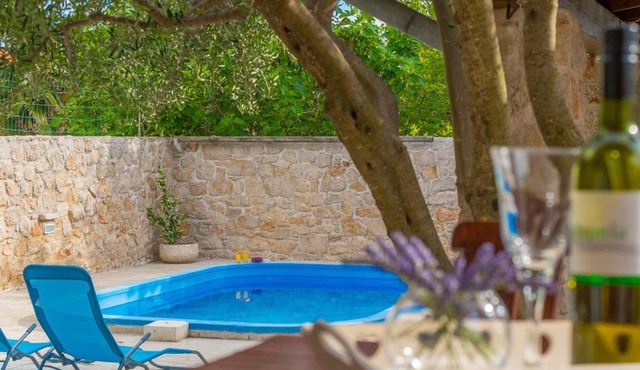Holiday house with pool and whirlpool Sara in Betina
