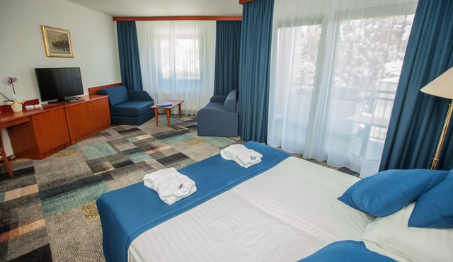 Hotel Toplice