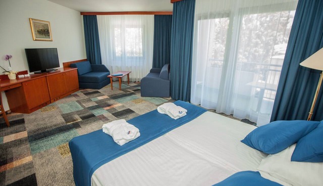 Hotel Toplice in Brezice