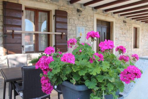 House Braida in Bale