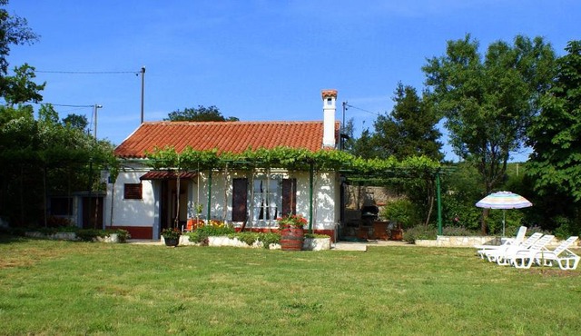 HOUSE VIOLETA