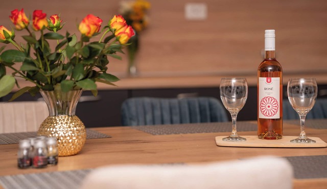 House with wellness and entertainment facilities ideal for large groups in Vukovar