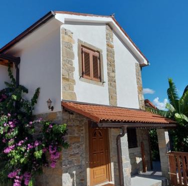 Istrska kamnita hiša z velikim vrtom - Istrian Stone House with Big Garden in Koper