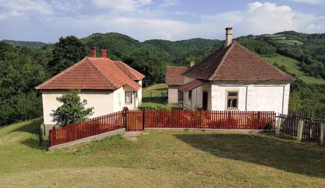 IVA in Belanovica