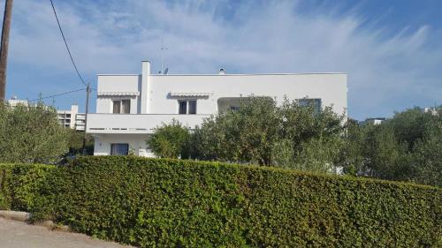 Lovorka Apartmani