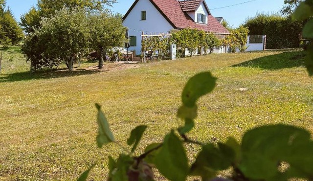 Maria's Orchard Cottage - Nature Retreat in Slovenia in Rogaška Slatina