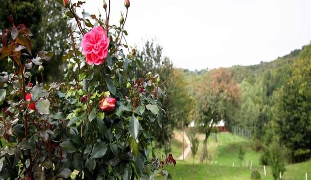 Nature Escape with Pool & Garden Views in Karlovac