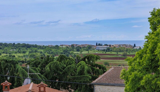 Nice apartment in villa for 3 guests with WIFI, A/C, TV, terrace and pets allowed in Umag