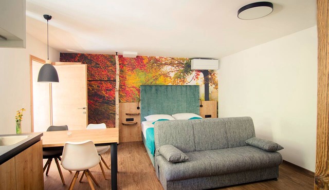 Olimje Apartments Gobi - Free Outdoor Pool - Romantic Apartment w/private sauna