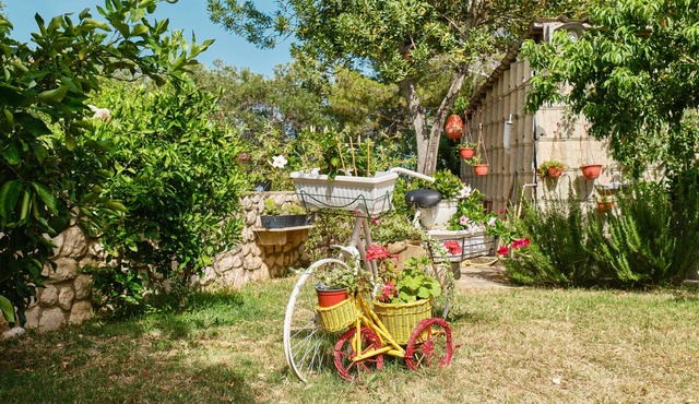 One bedroom apartment with terrace Ćunski, Lošinj (A-7867-d) in Ćunski
