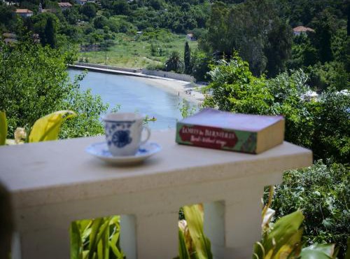 Oreb Dream Apartments - One Bedroom Apartment with Terrace and Sea View Apartment 1 in Koločep