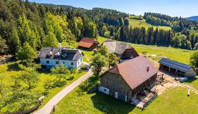 Organic Homestead Mikl Pine Tree Apt, Slovenj Gradec, Slovenia in Slovenj Gradec