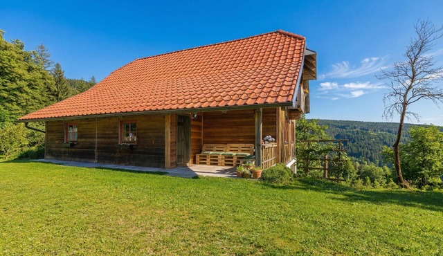 Organic Homestead Mikl Alder Suite, Slovenj Gradec, Slovenia in Slovenj Gradec