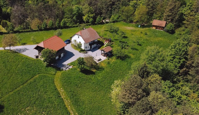 Pet friendly home in Mokronog with sauna