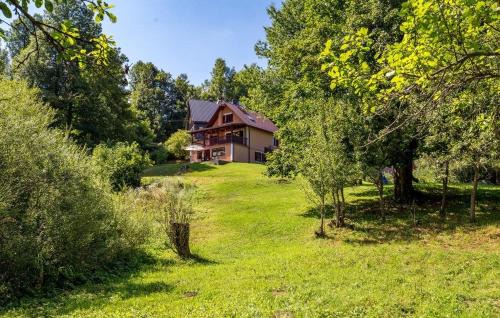 Planinski Raj House with 2 Apartments for 10 Guests